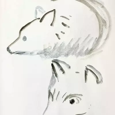 a sketch of two wolves using watercolour